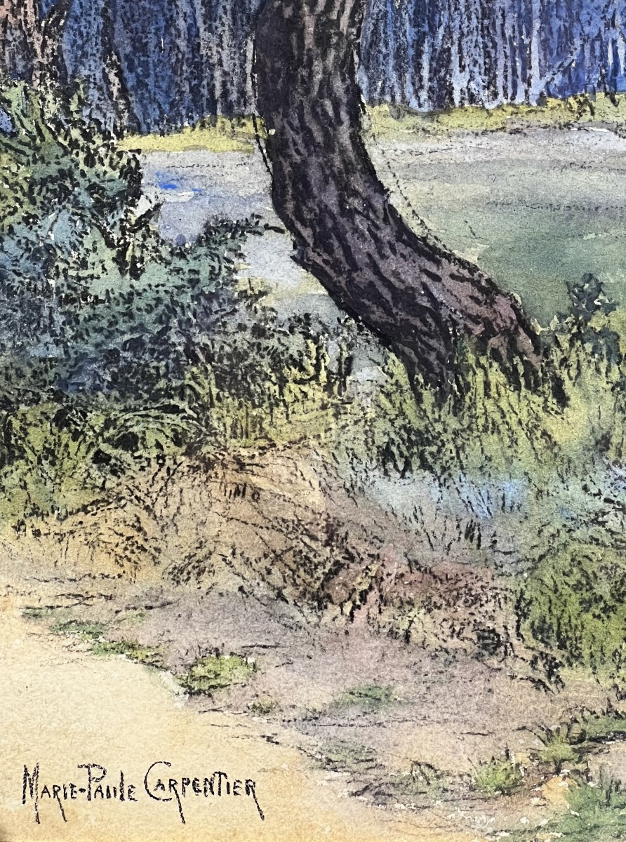 Marie-paule Carpentier - Les Pins - Watercolor Drawing-photo-2