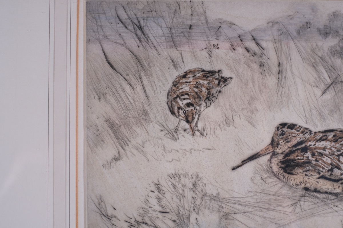 Henry Wilkinson (1921–2011) - Woodcocks - Drypoint Engraving, Signed And Numbered-photo-3