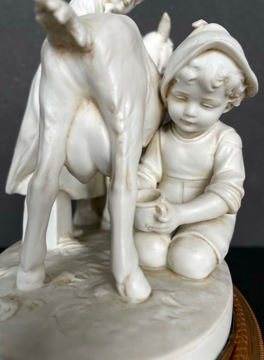 Goat Milking, Biscuit Group-photo-2