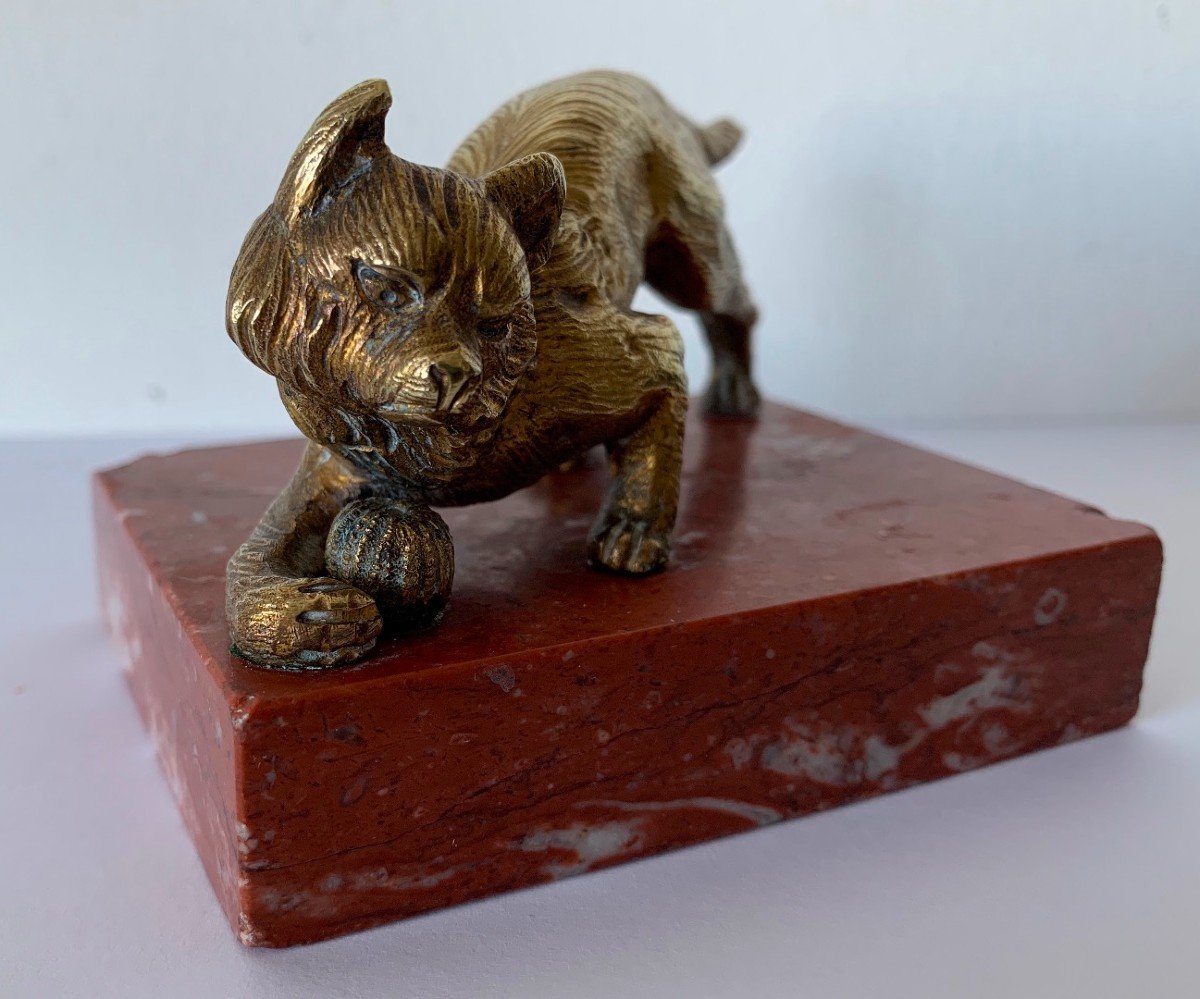 Sujet en bronze représentant un chat-photo-3