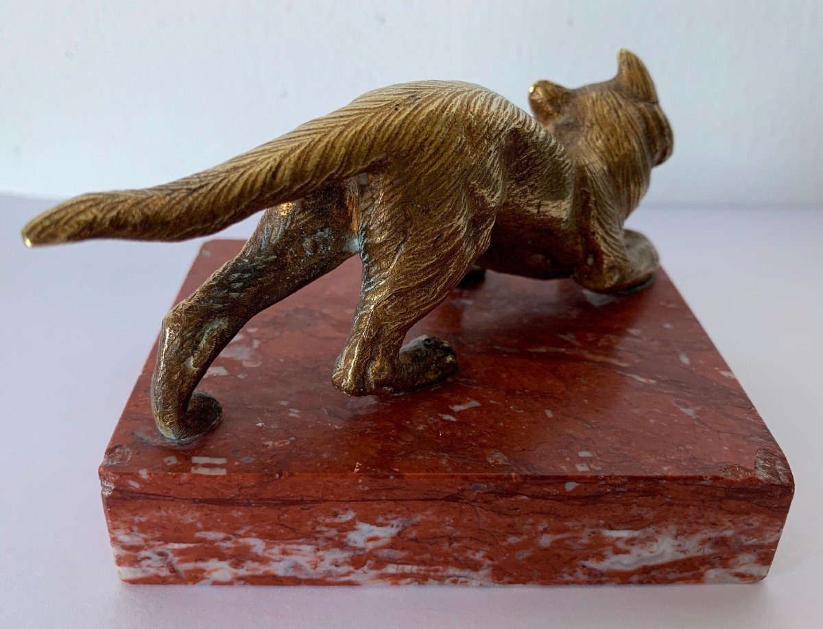 Sujet en bronze représentant un chat-photo-5