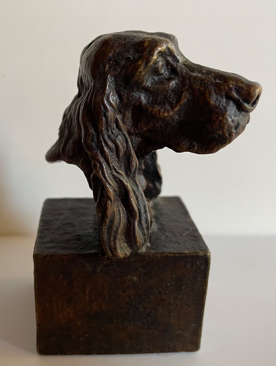 Small Bronze Subject Representing A Dog's Head-photo-3