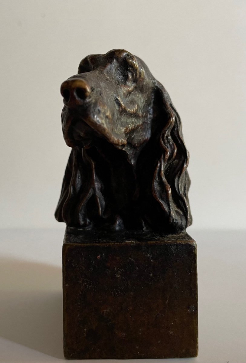 Small Bronze Subject Representing A Dog's Head