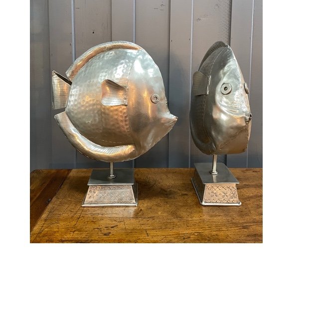 Fish In Sheet Metal -photo-4