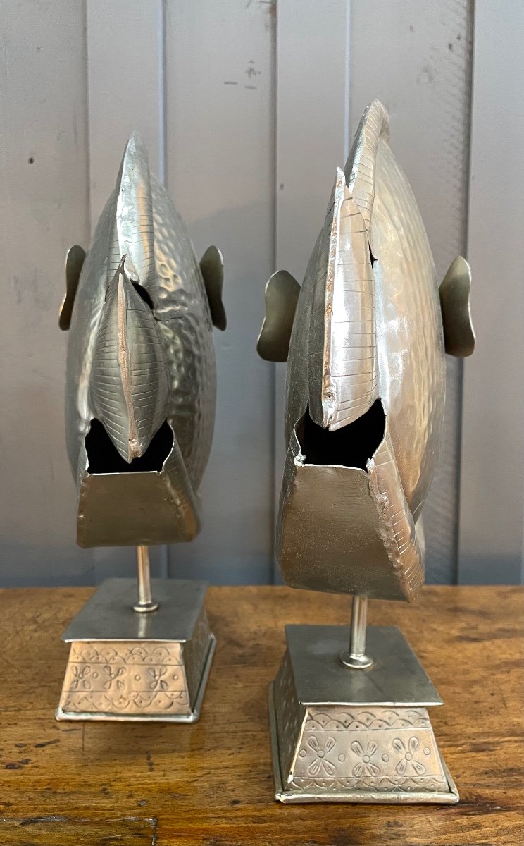 Fish In Sheet Metal -photo-6