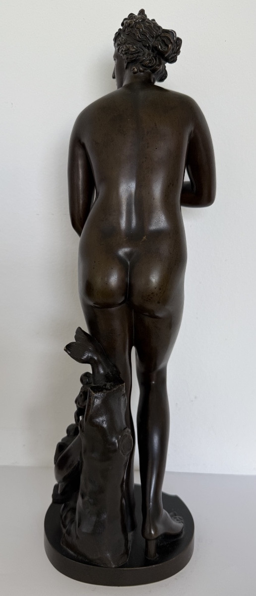 Venus Pudique, Bronze Sculpture-photo-3