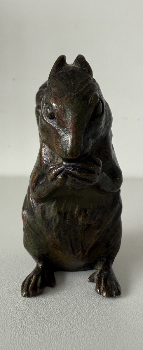 The Squirrel, Bronze Subject-photo-2