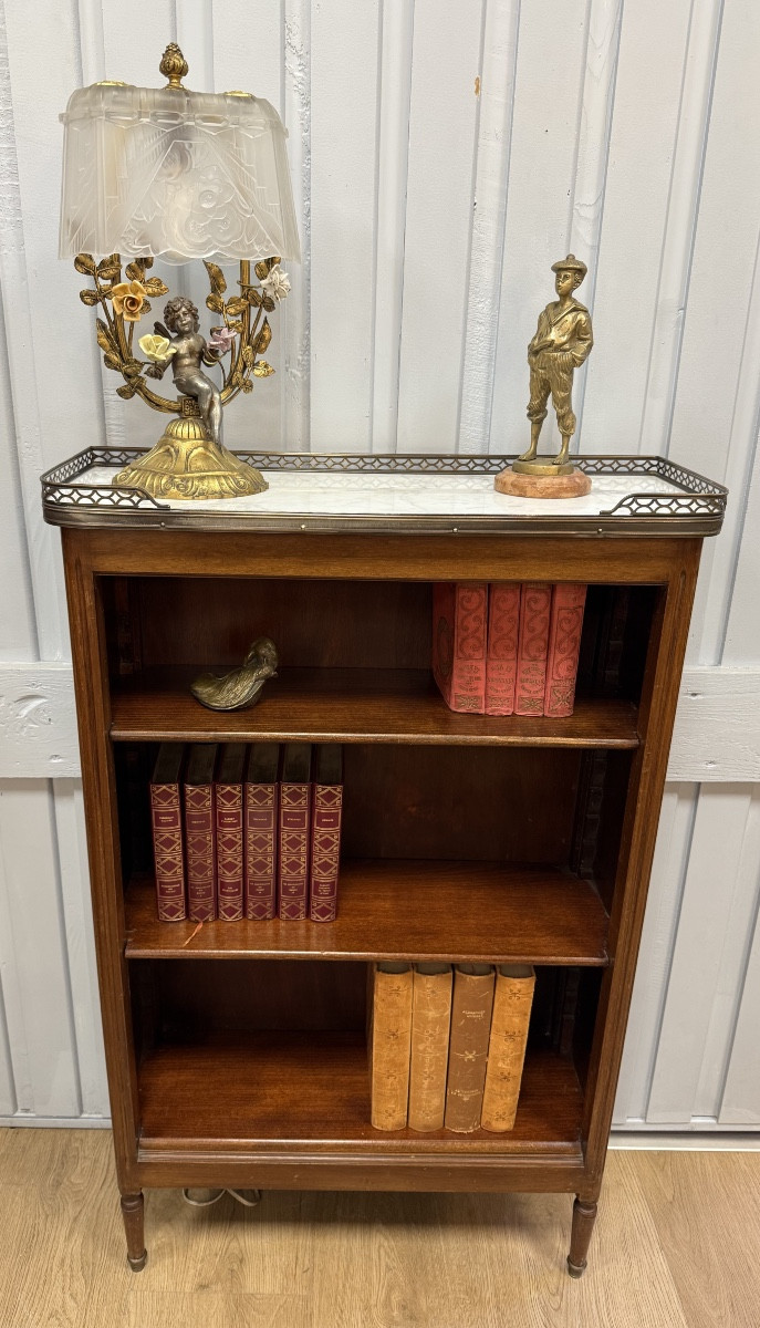 Louis XVI Style Mahogany Bibus