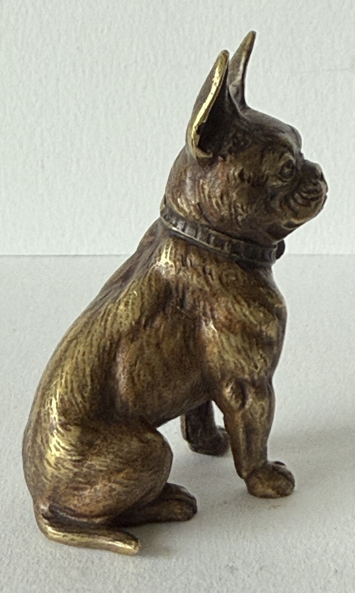 French Bulldog, Small Bronze-photo-3