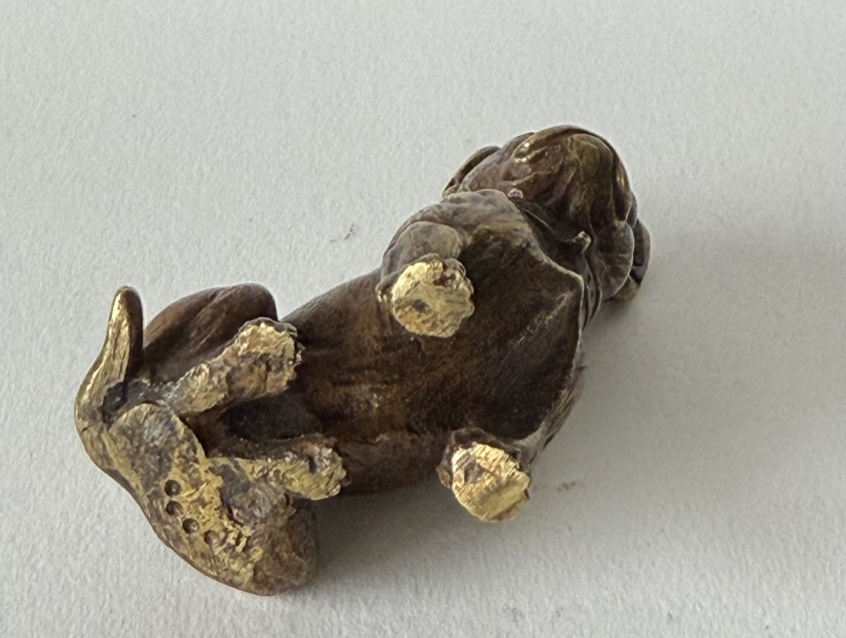 French Bulldog, Small Bronze-photo-2