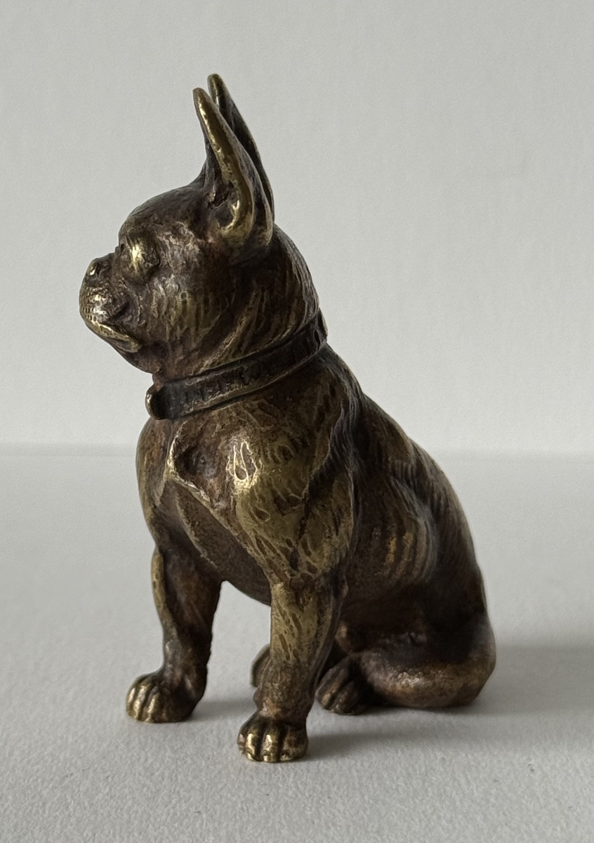 French Bulldog, Small Bronze-photo-3