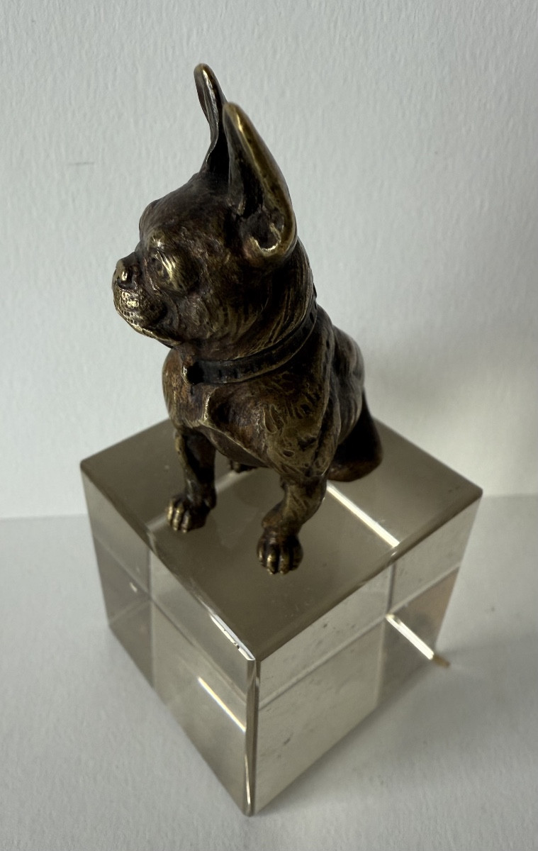 French Bulldog, Small Bronze-photo-7