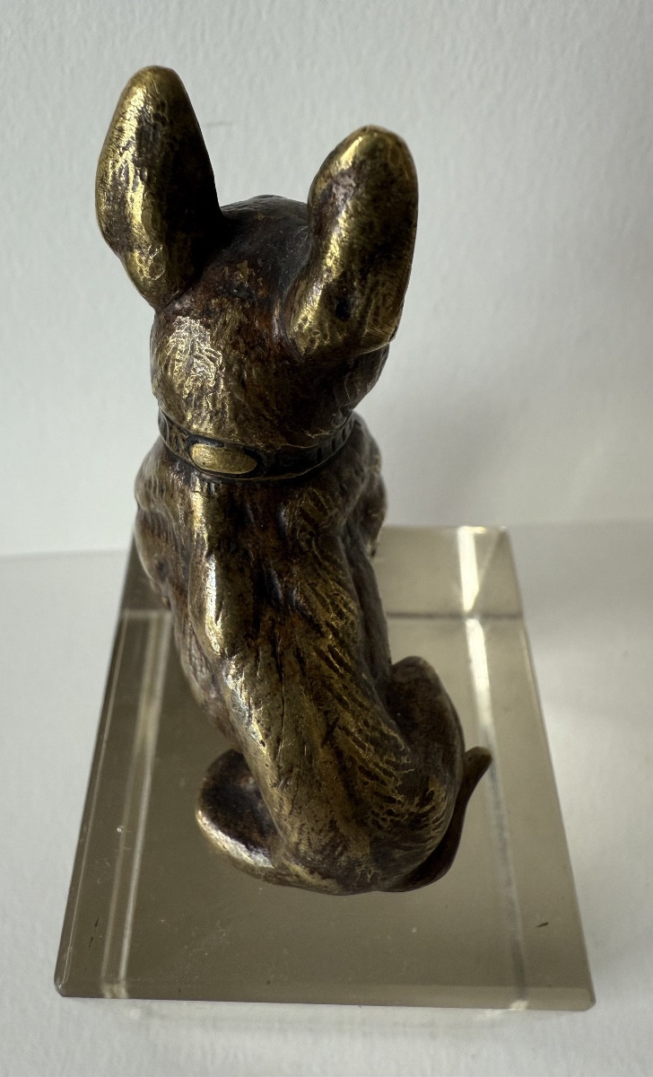French Bulldog, Small Bronze-photo-8