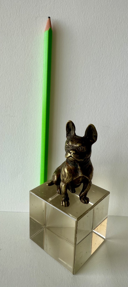 French Bulldog, Small Bronze-photo-6
