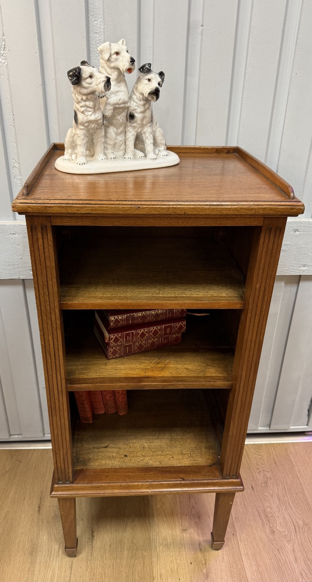 Louis XVI Style Walnut Bookcase