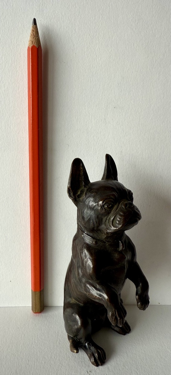 Small Bronze Depicting A Bulldog-photo-2