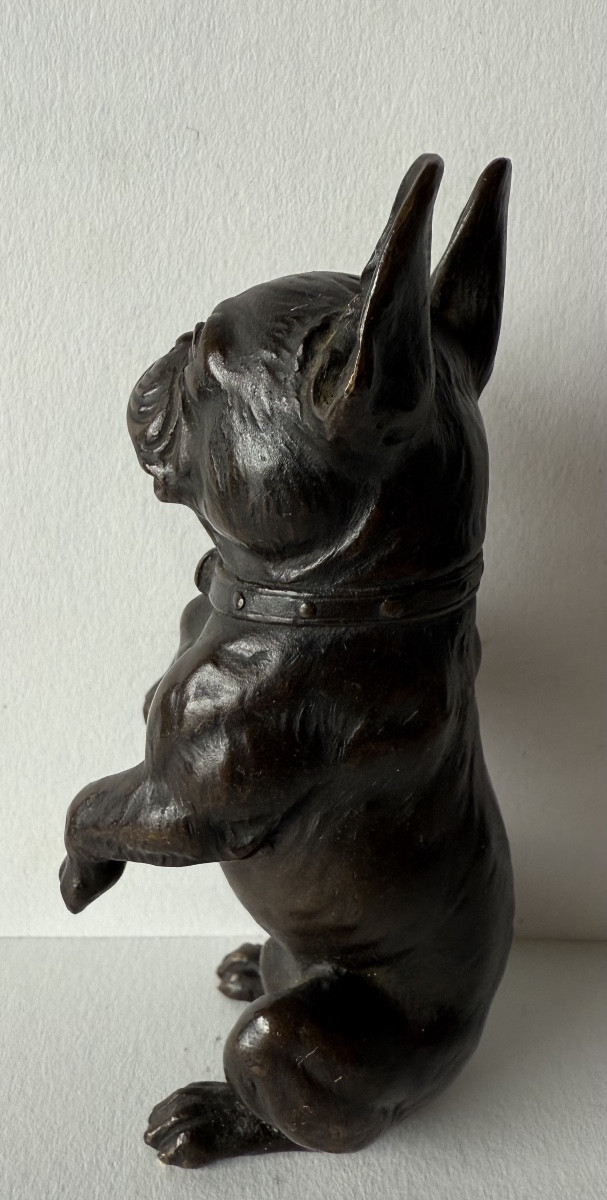 Small Bronze Depicting A Bulldog-photo-1
