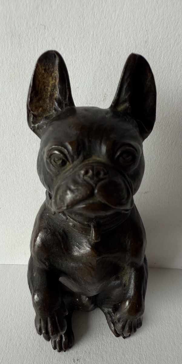 Small Bronze Depicting A Bulldog-photo-5