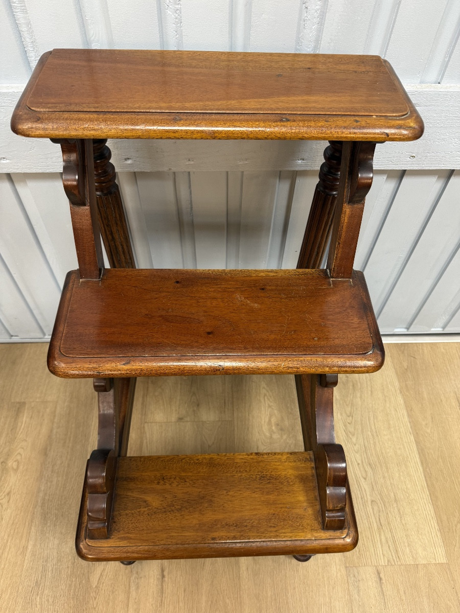 escabeau de bibliothèque de style anglais-photo-2