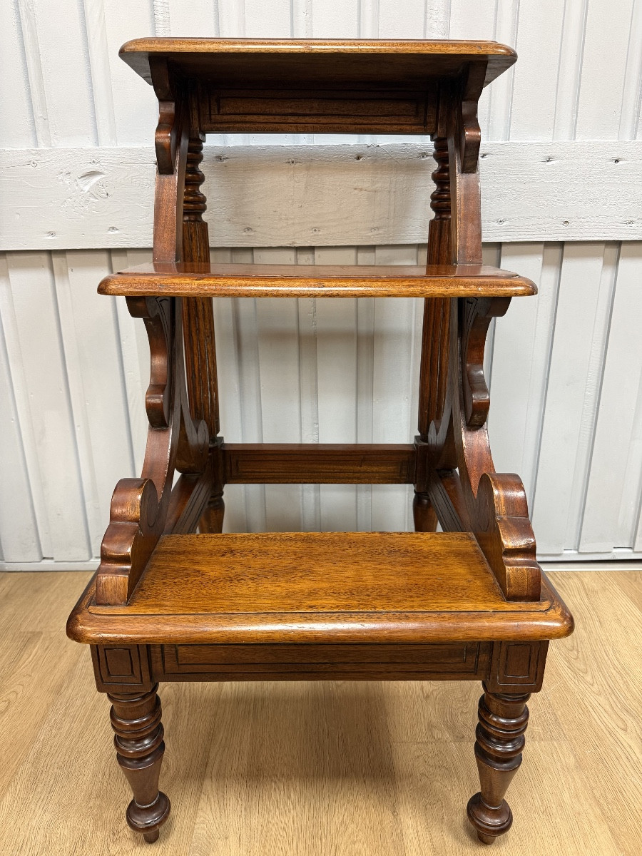 escabeau de bibliothèque de style anglais-photo-7