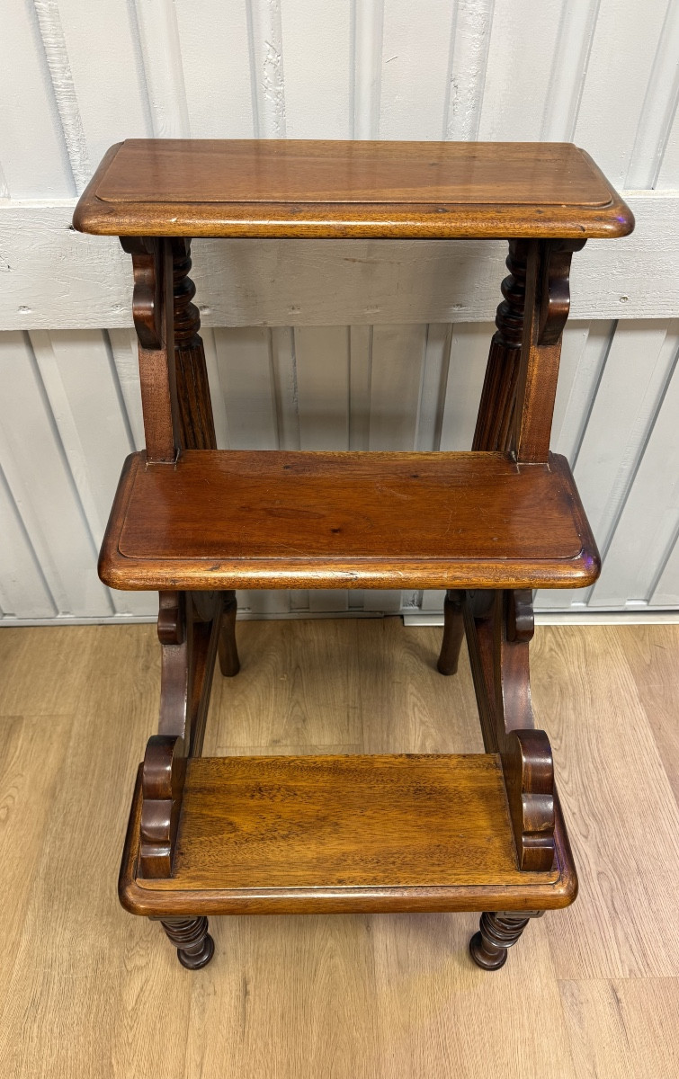 escabeau de bibliothèque de style anglais-photo-8