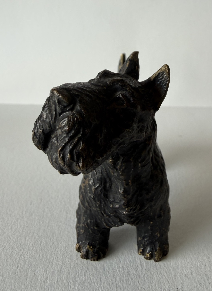 Scottish Terrier In Bronze-photo-3