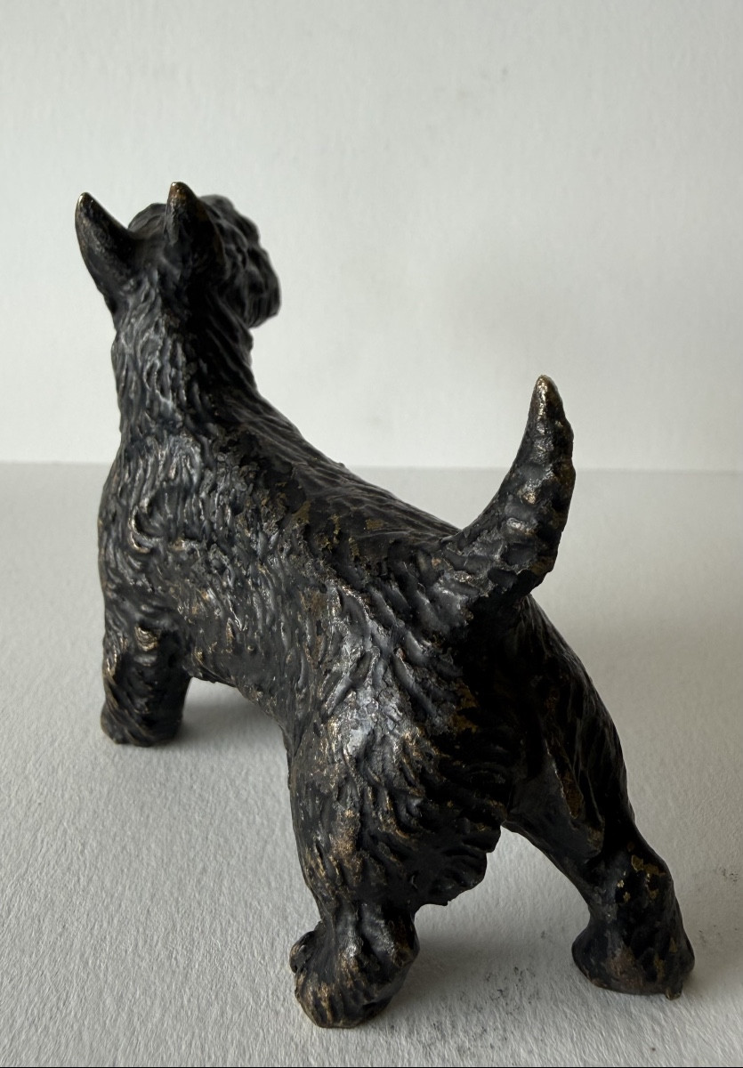 Scottish Terrier In Bronze-photo-2
