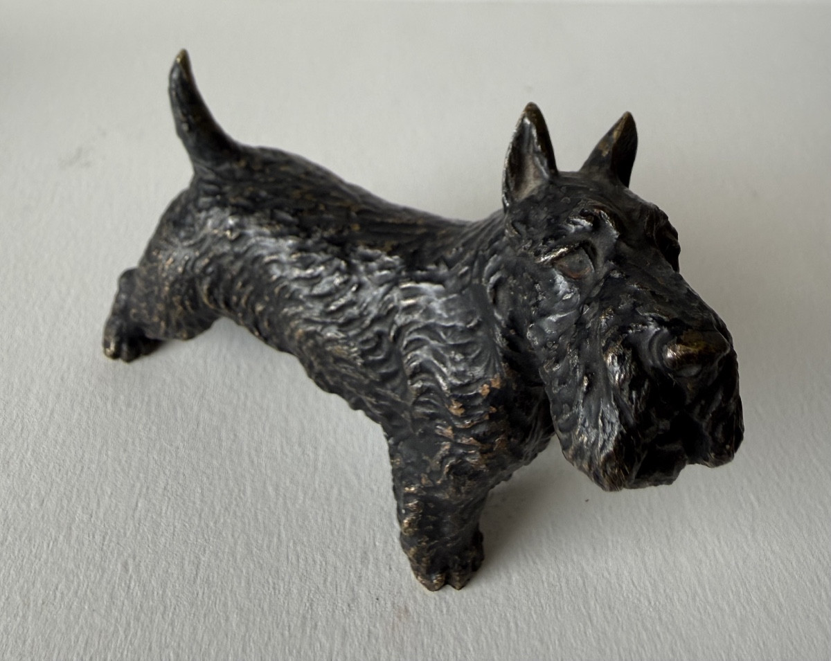 Scottish Terrier In Bronze-photo-7
