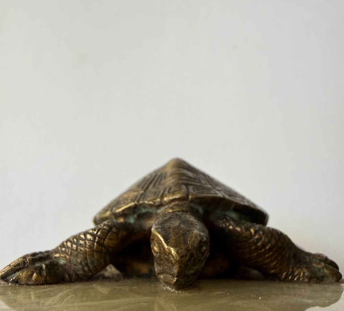 La tortue , sujet en bronze-photo-6