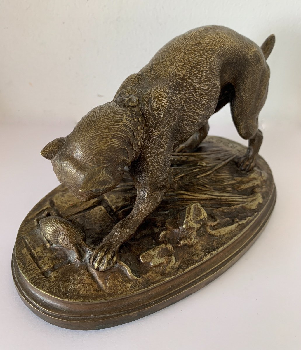Dog Playing With A Little Rat, Bronze Sculpture-photo-4