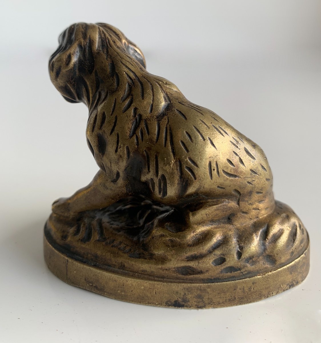 Bronze Subject Representing A Dog-photo-3