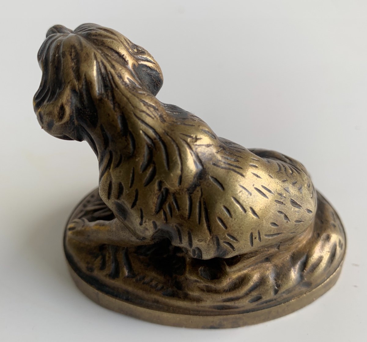 Bronze Subject Representing A Dog-photo-7