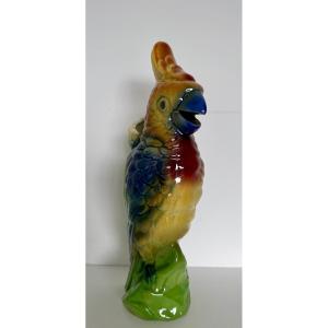 Perroquet , barbotine de ST Clément