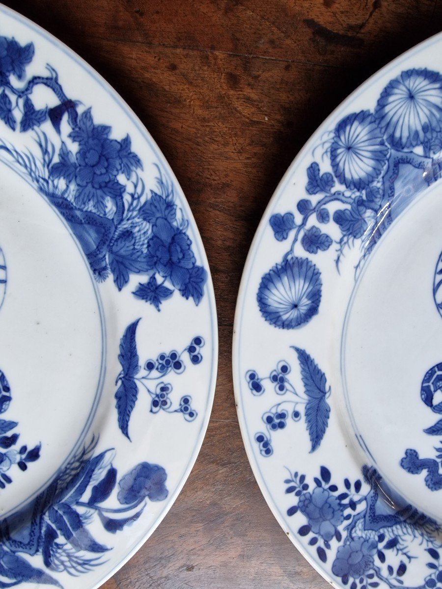 Pair Of Chinese Dinner Plates 18th Kangxi Period White Blue Qing Dynasty-photo-4