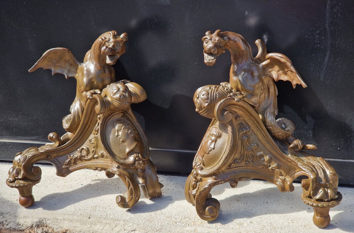 Paire de têtes de chenets et bronze à décor de dragons et profils style Louis XIV Régence-photo-4