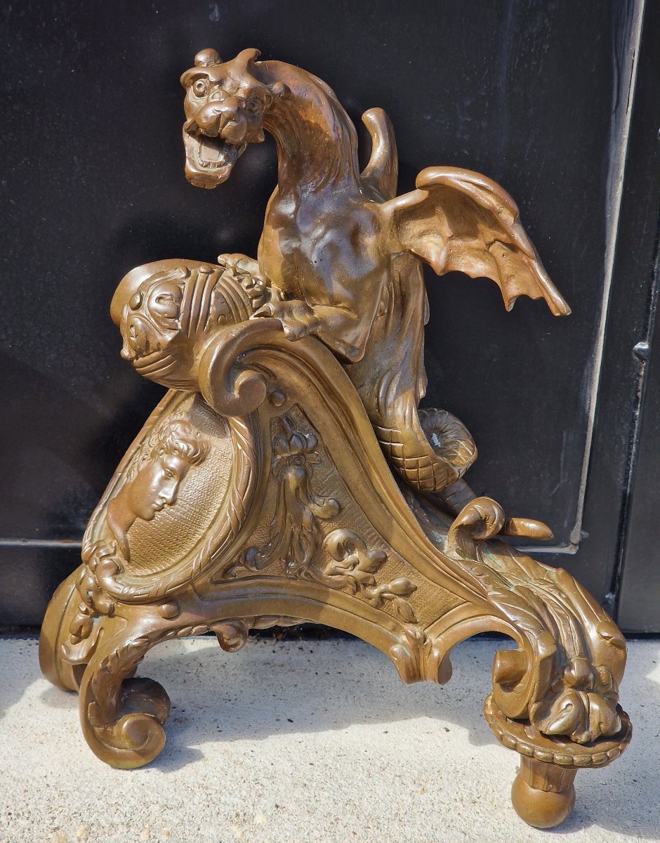Paire de têtes de chenets et bronze à décor de dragons et profils style Louis XIV Régence-photo-1