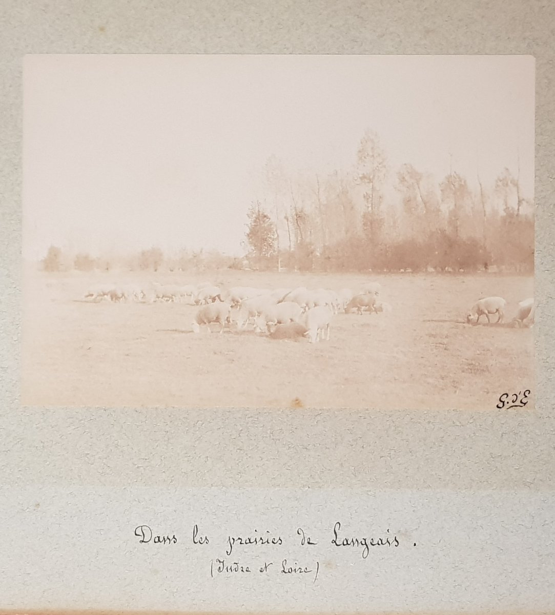 Recueil de photographies "par monts et par vaux" Lozère,Garabit,Allier et Langeais-photo-4