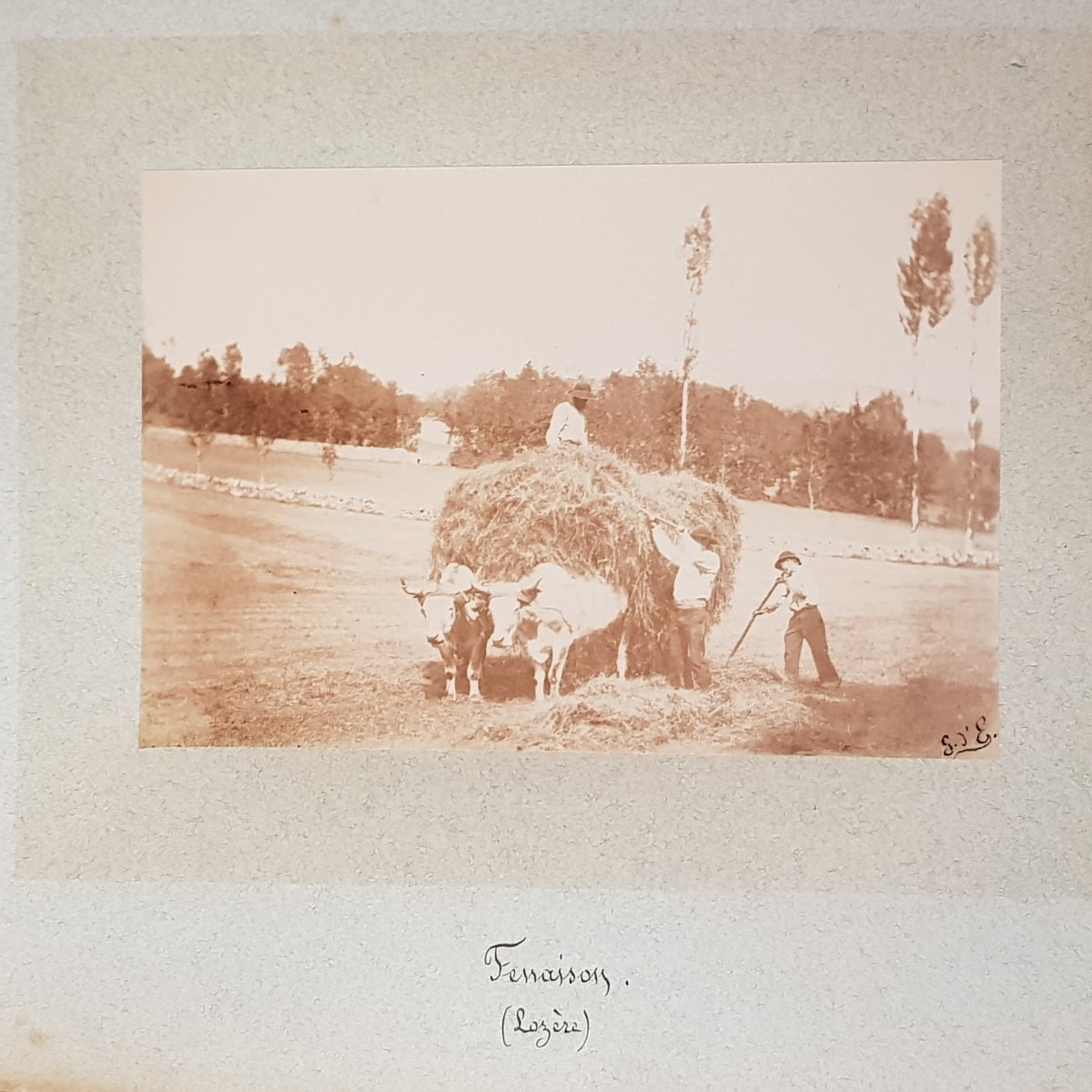 Recueil de photographies "par monts et par vaux" Lozère,Garabit,Allier et Langeais-photo-7