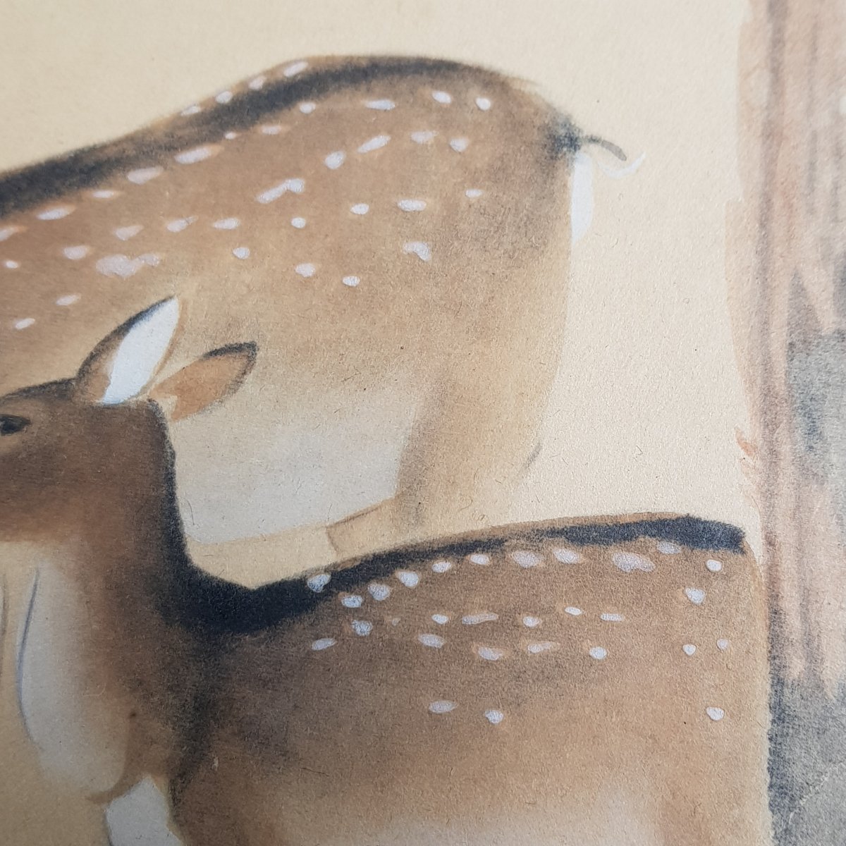 Aquarelle Et Gouache Japonaise Cerf Et Biche Sur Papier Argenté XXème-photo-4