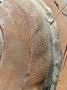 1750958-alb-69f1c6400bc34.jpg