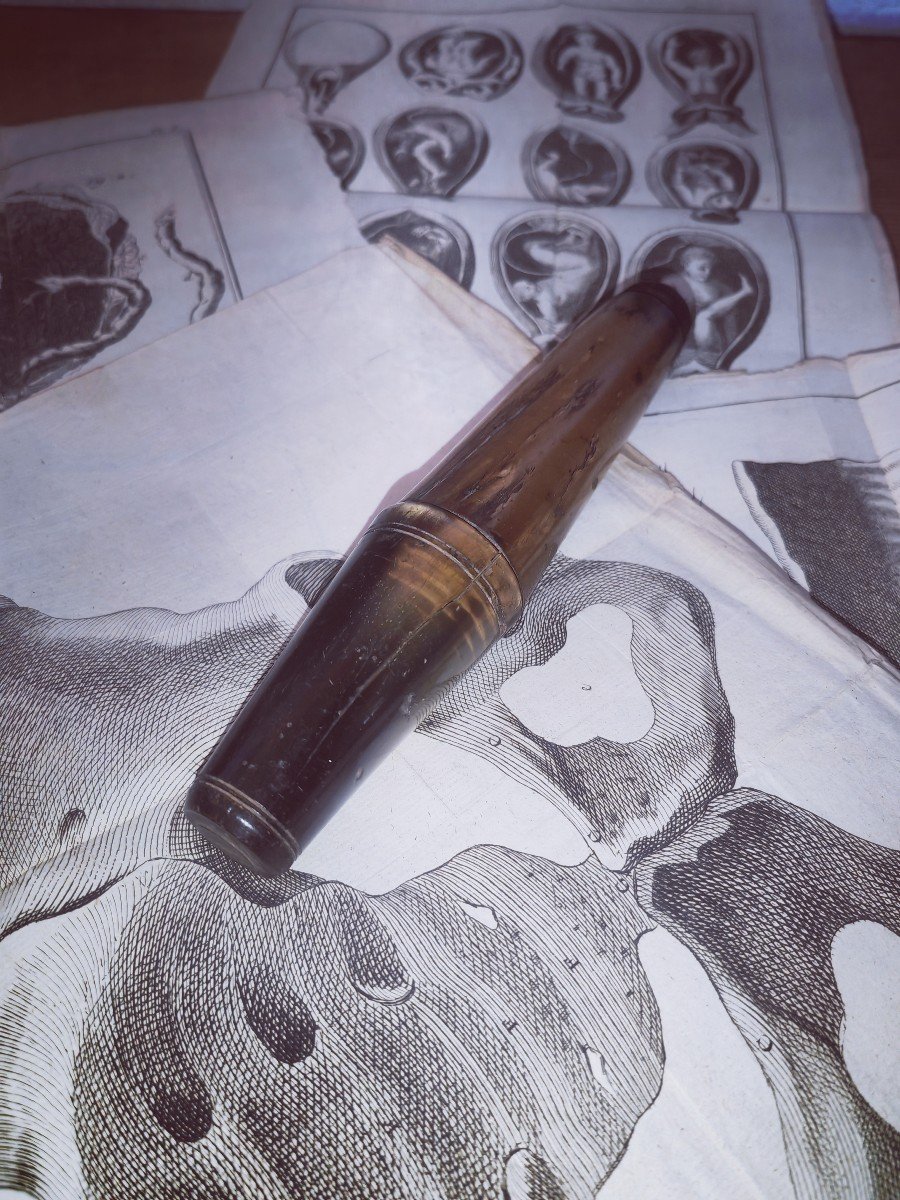 Baradelle, Turned Blonde Horn, Incomplete, 19thc Or Earlier