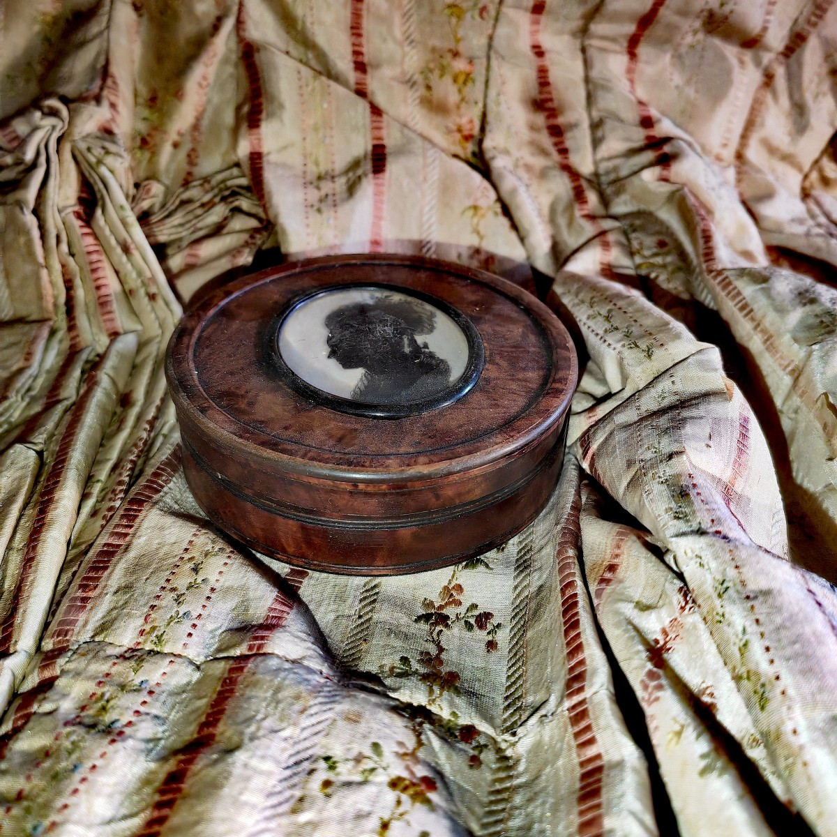 Jolie Boîte Tabatière en Loupe et Corne, Profil de jeune Femme, Sculpté et Peint, XiXe siècle -photo-2