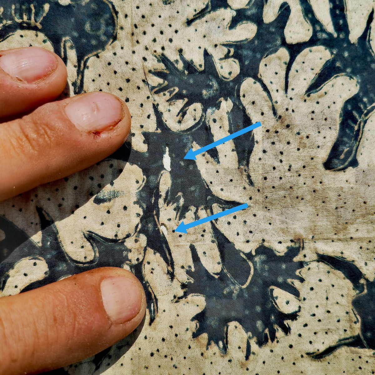 Beautiful Antique Batik, Symmetrical Blue & Gold Design, Birds & Plants, Indonesia Java 19thc-photo-5