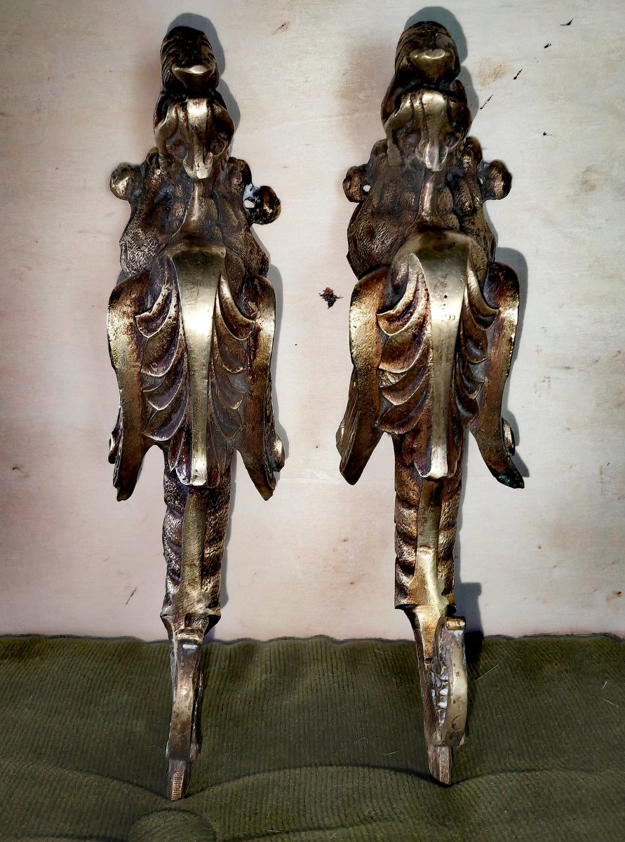Belle Paire Éléments en Bronze Doré, Griffons, Pour Ameublement ou Patères, France XiXe siècle -photo-4