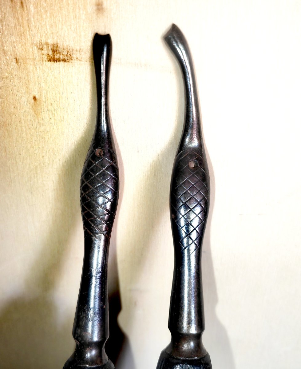Surgery, Dental Tools, Engraved Ebony Handles, Monogram Mark, Europe 19thcry-photo-4