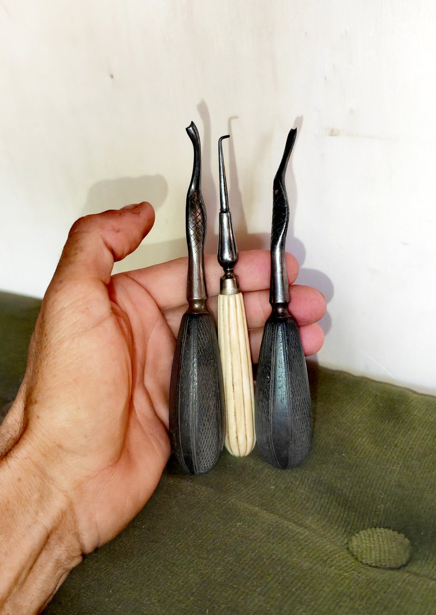 Surgery, Dental Tools, Engraved Ebony Handles, Monogram Mark, Europe 19thcry-photo-4