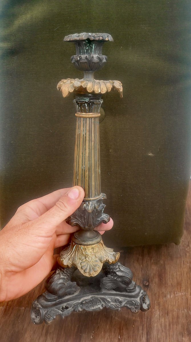 Great Bronze Candleholder, Two Patinas, Dolphins & Shells, France, Restoration Period -photo-5