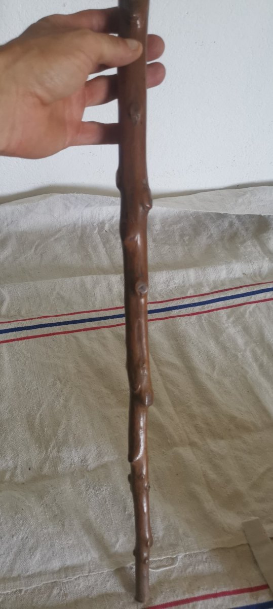 Carved Cane, Folk Art, Primitive, Grotesque Character, 19th Century-photo-1