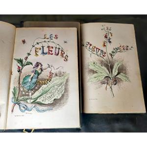 Rare Book, Les Fleurs Animées, 2 Volumes Octavo, Jj Grandville, Taxile Delord, By Gonet 1847