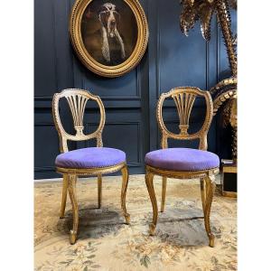 Pair Of Napoleon III Period Chairs In Golden Wood - Nineteenth